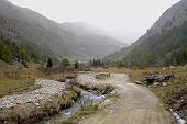 Gelido,ma bellissimo week-end al Bivacco Occhi in Val Grande da Vezza d'Oglio ad avvistare tanti cervi il 18 ottobre 2009 - FOTOGALLERY